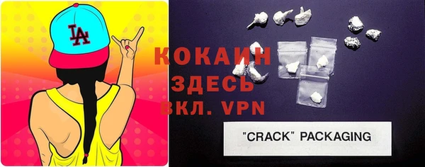 индика Кукмор