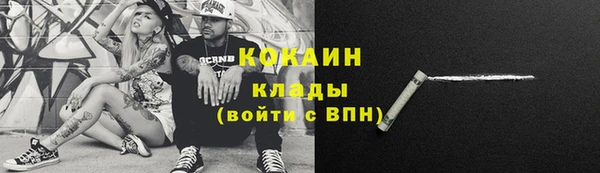 индика Кукмор