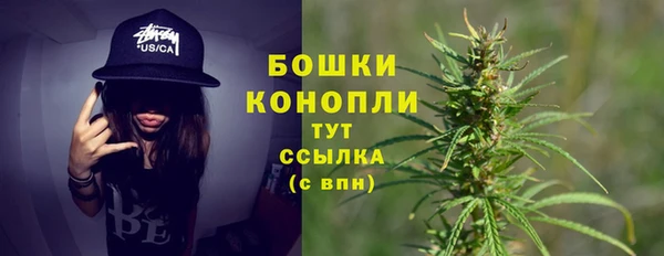 индика Кукмор