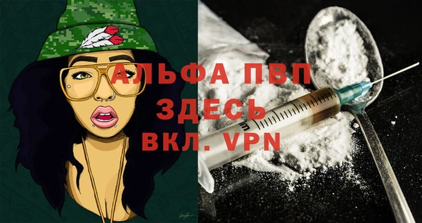 индика Кукмор