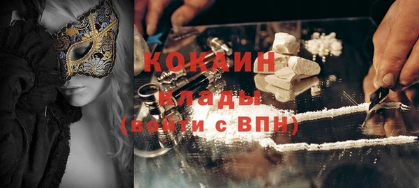 индика Кукмор