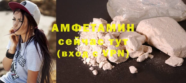 индика Кукмор