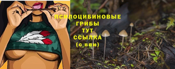 трава Куйбышев