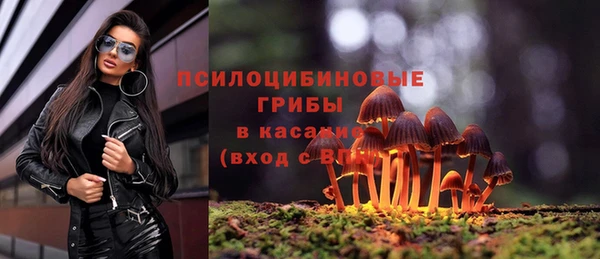 трава Куйбышев