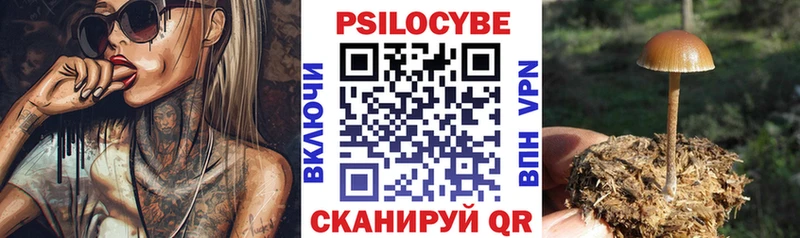 Галлюциногенные грибы Cubensis  Шахунья 
